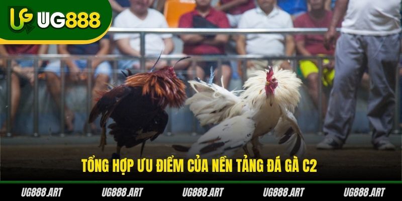 Tổng hợp ưu điểm của nền tảng đá gà C2